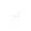 CYOFT - Home